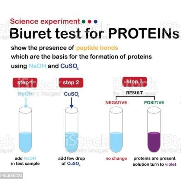 PROTEIN 