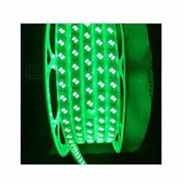 R 5730 Rope ( Double LED) - 45 Meter, Green