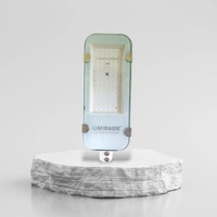 Creta Street Light  - 24w