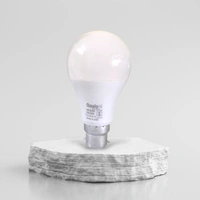 9w Non Warranty Bulb 