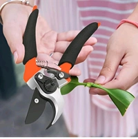 Bluehue® New Plant Cutter for Garden | 8 Inch Heavy Duty Plant Cutter | Tree Branch Pruner, Falcon Scissor | Branch Trimmer Scissor for Home/Garden/Plants | Secateurs for Garden Shears (1PC)
