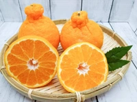 Docopon Orange 