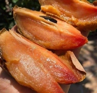 Kalapatti Chikku 