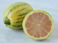 Variegated Kagzi Lemon