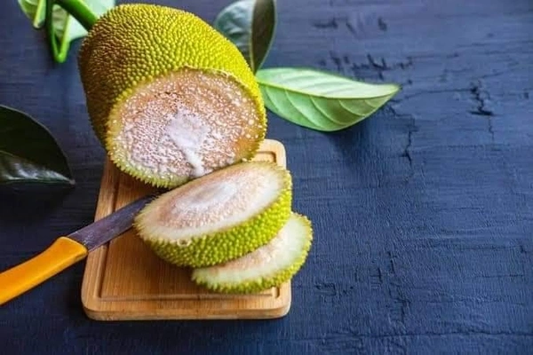 Bread Fruit