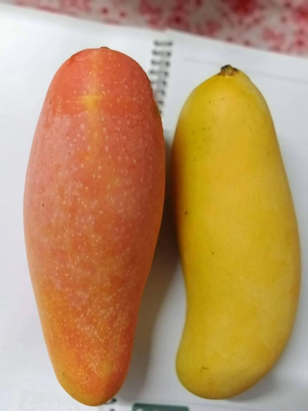 Banana Mango 