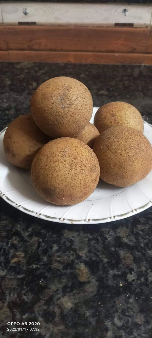 Cricket Ball Chikku