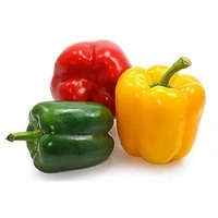Capsicum  ( 5 Plants) 
