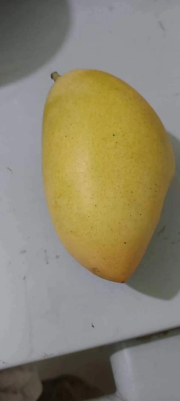 Nam Dokmai Mango