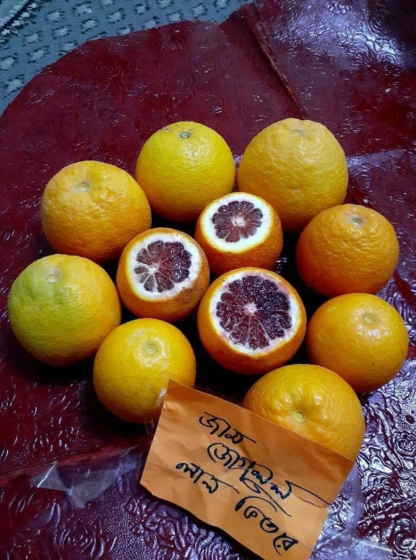 Blood Orange