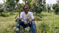 Apple Mango