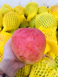 R2E2 Mango