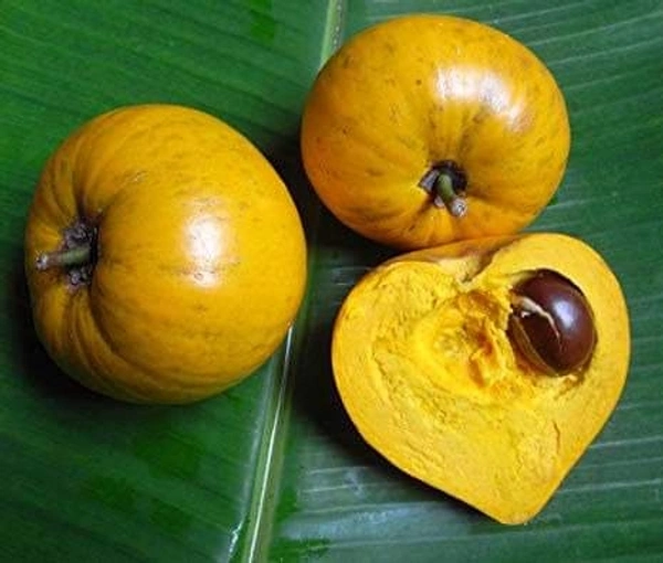 Cau Fruit 