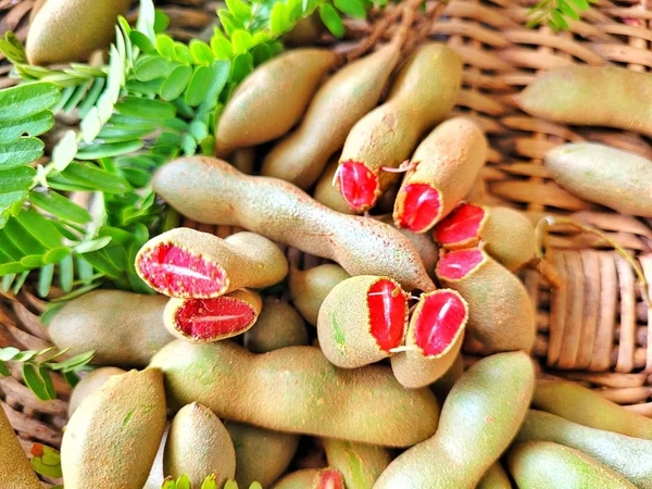 Red  Tamarind ( Inside ) 
