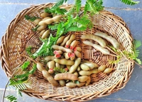 Red  Tamarind ( Inside ) 