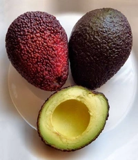 Carmen Avocado (Red)