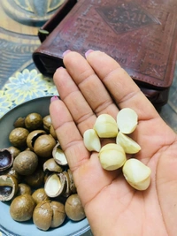 Macadamia Nut