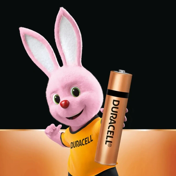 Duracell Battery 2X Longer Lasting AA2 Batteries Pack of 2