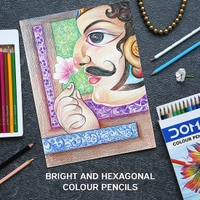 Doms Colour Pencil 12 Shades Full Size