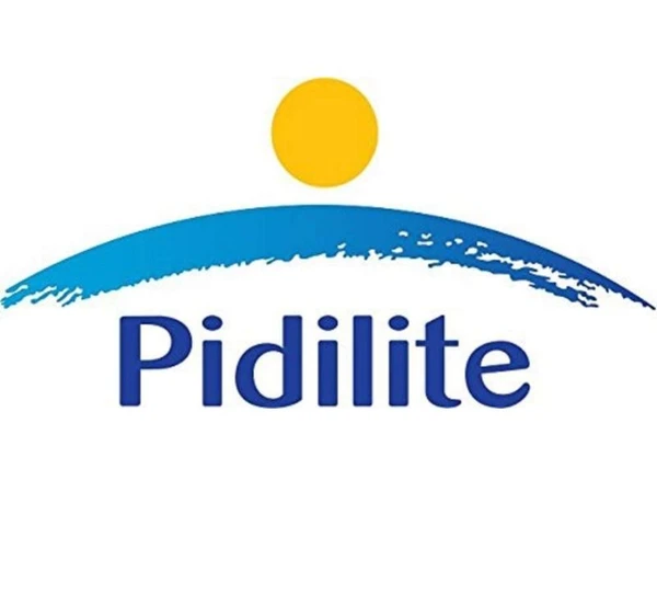 Pidilite Fevibond Synthetic Rubber Based Adhesive 90 ml