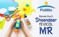 Pidilite Fevicol Mr White Adhesive  200 gram