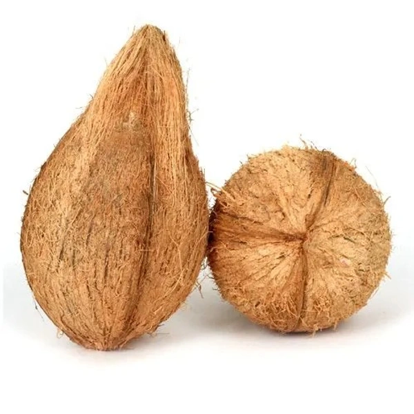 Coconut - Large, 1 pc (approx. 550g to 650g) - 550g to 650g