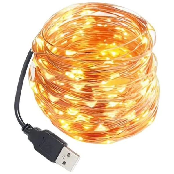 Lexton Copper String LED Light With Adapter For Home Décor - Warm White, 10 M & 100 LEDs, Festive, Diwali, Party, Patio Lawn, 1 pc