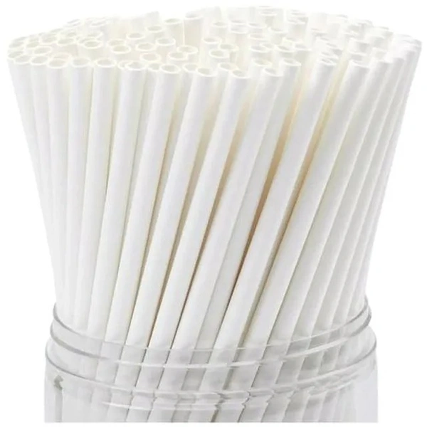 Disposable Paper Straws - White, 25 pcs