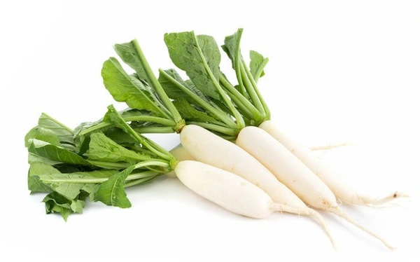 Radish White 1 pc (Approx. 80 g - 150 g)
