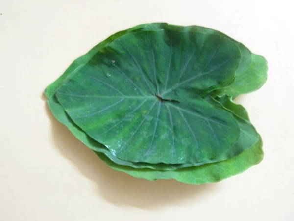 Arbi (Colocasia) Leaves 1 bunch