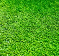 ARTIFICIAL GRASS MAT ( Per Sqr Ft ) - Japanese Laurel