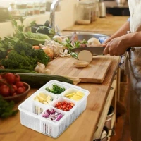 6GRID STORAGE CONTAINER 6-In-1 Kitchen Scallion Storage Box Grid,  (211)