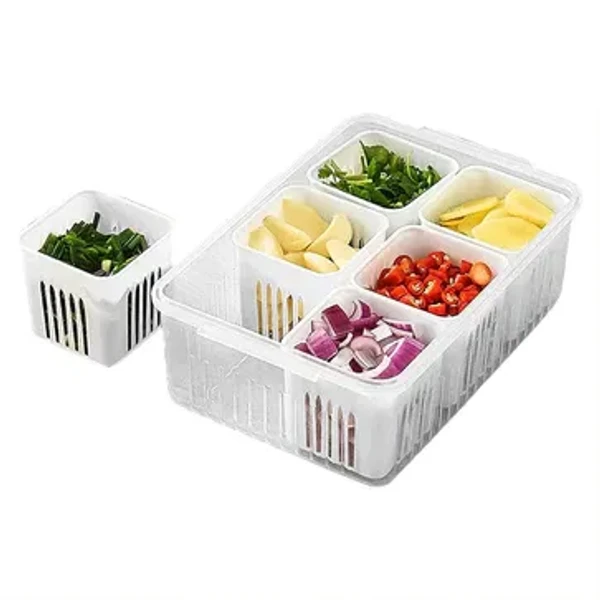 6GRID STORAGE CONTAINER 6-In-1 Kitchen Scallion Storage Box Grid, 