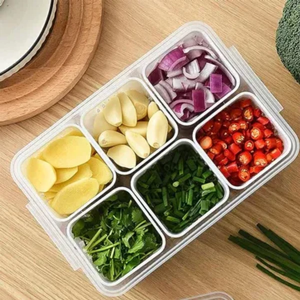 6GRID STORAGE CONTAINER 6-In-1 Kitchen Scallion Storage Box Grid, 