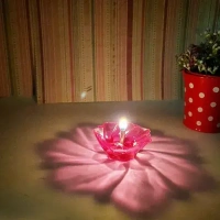 12PCS REFLEXION DIYA , 12PCS Reflexion Diya Set for Diwali Decoration – Traditional Oil Lamps for Home, Festival, Pooja & Gifting(39)