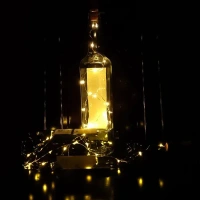 CORK LIGHT, Cork Light – Decorative LED Bottle String Light (34)