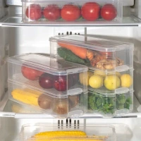 3IN1 FRIDGE STORAGE CONTAINER 3 FRIDGE STORAGE CONTAINER, (1508)