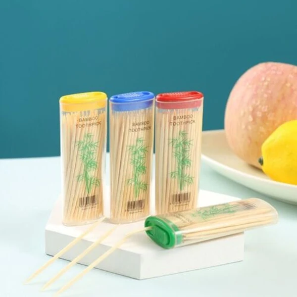 2PCS WOODEN TOOTHPICK