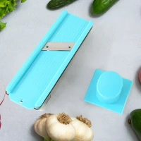 DRY FRUIT SLICER, 2-in-1 Multipurpose Vegetable & Dry Fruit Slicer (1 Pc)(653)