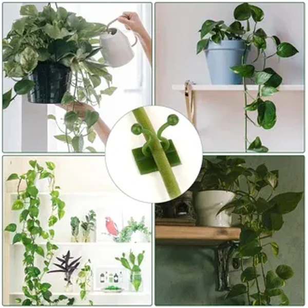 30PCS PLANT CLIP 