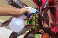 BOTTLE WITH SPRAY Portable Handheld Mini Trigger Mist Small Water Spray Bottle for Watering Flowers 300 ML spray bottles for saloon spray bottles for... (1906)