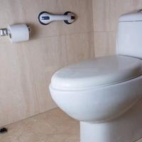 HELPING HANDLE Helping Handle Bathroom Handle Plastic Safety Handle Easy Grip Helping Handle Supportive Handle (1823)