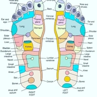 ACUPRESSURE SOCKS, Acupressure Reflexology Socks – Foot Therapy for Relaxation & Wellness(2144)