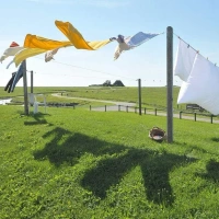 10M CLOTH DRYING WIRE, High-Quality Cloth Drying & Gardening Wire (10M)(2109)