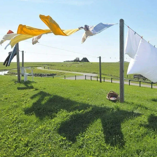 10M CLOTH DRYING WIRE, High-Quality Cloth Drying & Gardening Wire (10M)(2109)