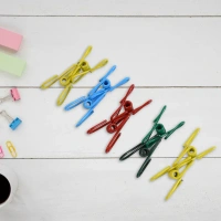 10PCS METAL CLOTH CLIPMetal Clothes Pins Clips – 10PCS Rust-Resistant Strong Grip Set for Home Use(2464)