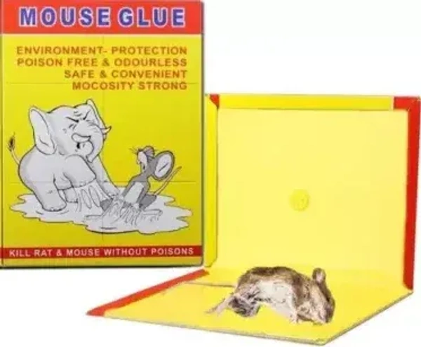 MOUSE GLUE, Mouse Glue Trap Rat Catcher Adhesive Sticky Glue Pad   (122) - 22 CM X 16 CM X 0.5 CM, Pack of 1