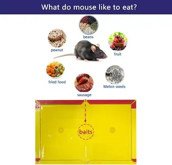 MOUSE GLUE, Mouse Glue Trap Rat Catcher Adhesive Sticky Glue Pad   (122) - 22 CM X 16 CM X 0.5 CM, Pack of 1