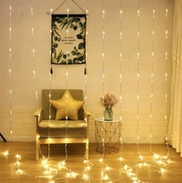 10*10 Waterfall Curtain Warm White (64)