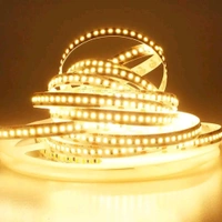 5M WW STRIP LED 5 Meter Led Strip Lights with Driver  False Ceiling Lights for Home Decoration, 25W Led Profile Light Strip with 600 LEDs,Kitchen Cabinet led Light Strips,Under Cabinet Strip (1956)